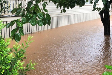 Flooded yard near Byron Creek