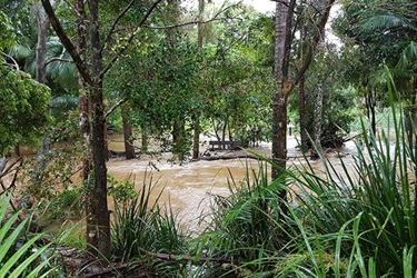 Weir at Piccabeen Park