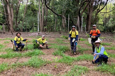 The bush regeneration team planting what was a total of 5,000 trees
