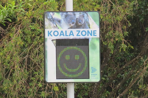 Koala-sign-2024