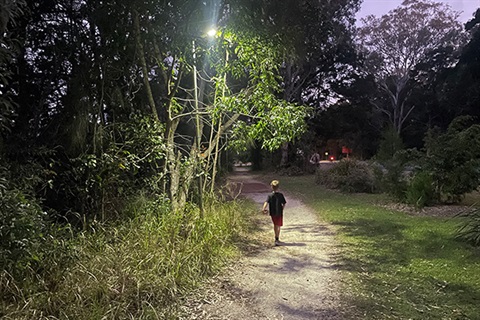 bright light shining onto small child on leafy path at dusk