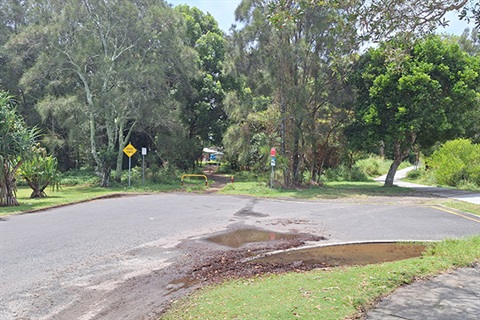 dead end road with trees and path in the background