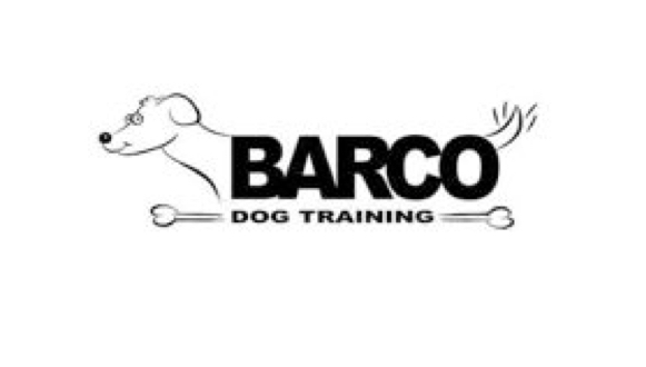 Barco logo.jpg