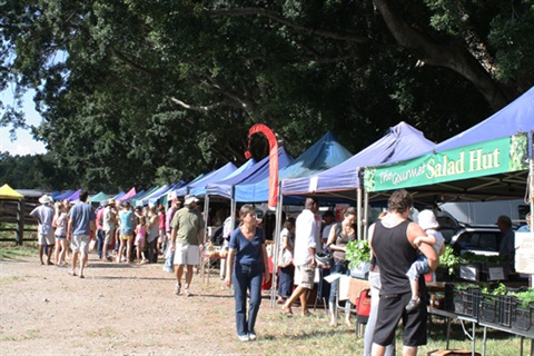 Mullumbimby Farmers Market.jpg